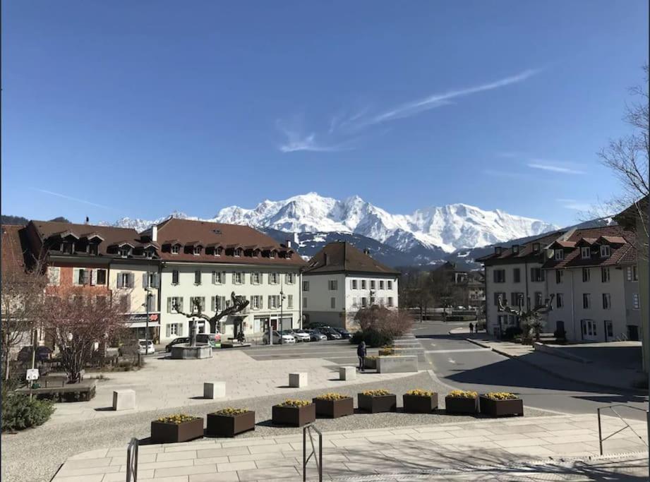 Appartement Spacieux Au Pays Du Mont-Blanc Sallanches Exterior photo
