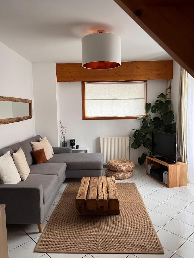 Appartement Spacieux Au Pays Du Mont-Blanc Sallanches Exterior photo